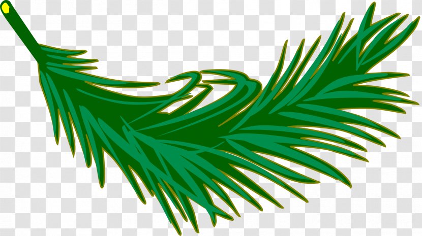 Leaf Arecaceae Palm Branch Frond Clip Art - Plant Stem - Tree Transparent PNG