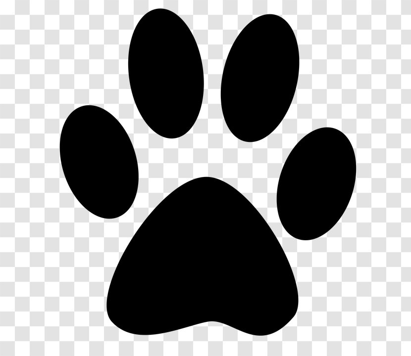Cat Dog Paw Kitten Felidae - Black And White - Next Level Letter Head Transparent PNG