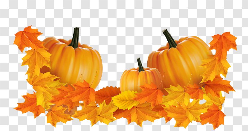 Jack-o-lantern Calabaza Pumpkin - Harvest Poster Free Buckle Material Transparent PNG