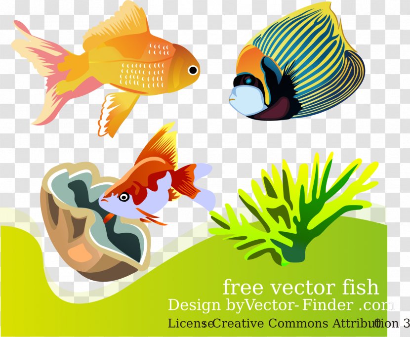 Download Clip Art - Fish - Design Transparent PNG