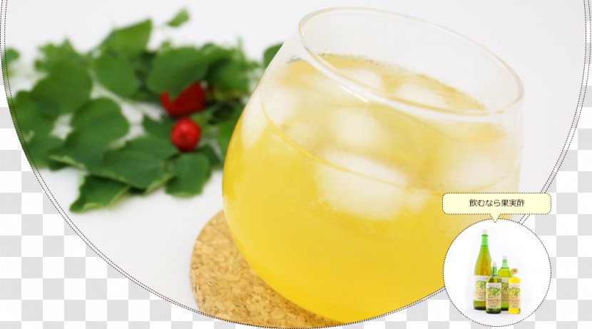Cocktail Garnish Juice Vinegar Saga Prefecture Orange - Auglis Transparent PNG
