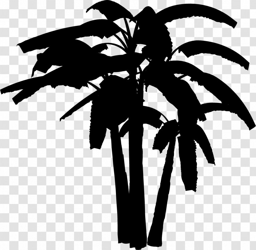 Palm Trees Clip Art Leaf Plant Stem Flower - Woody Transparent PNG