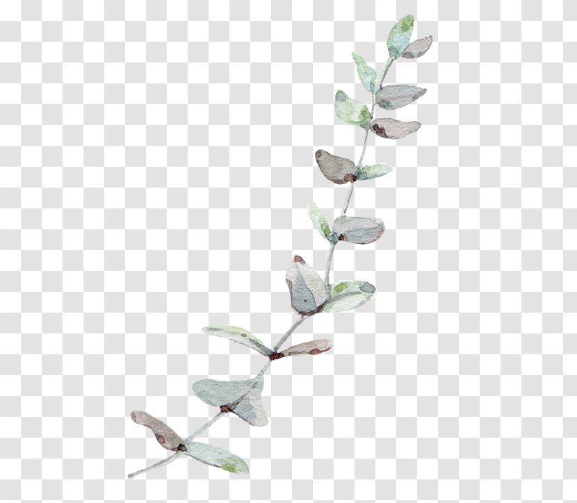 Gum Trees Leaf - Nordic Wind Eucalyptus Leaves Transparent PNG