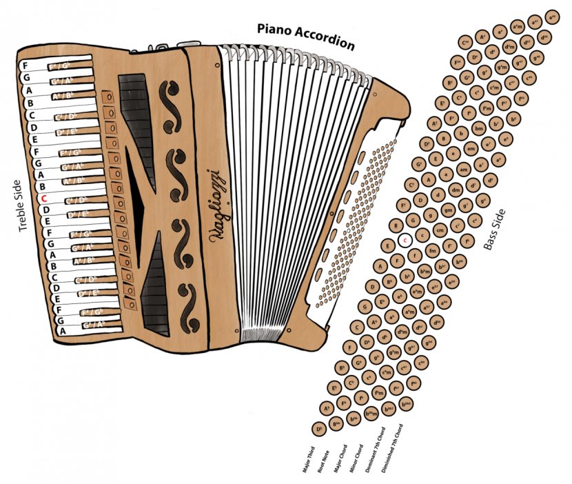 Diatonic Button Accordion Musical Instruments Free Reed Aerophone Diagram - Watercolor Transparent PNG