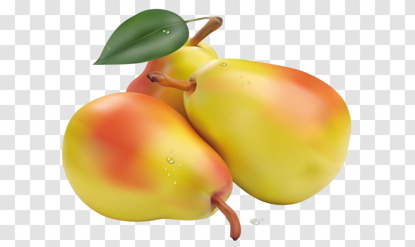 Pear Fruit Clip Art - Yellow Pears Transparent PNG
