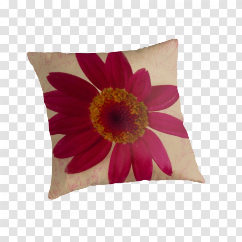Throw Pillows Cushion Magenta Transvaal Daisy - Petal - Pillow Transparent PNG