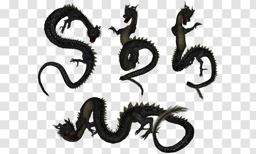Reptile Font - Organism - Dragon Transparent PNG