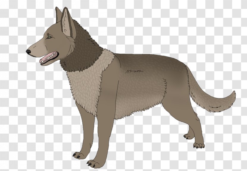 Saarloos Wolfdog Czechoslovakian Canaan Dog Breed - Sam Winchester Transparent PNG