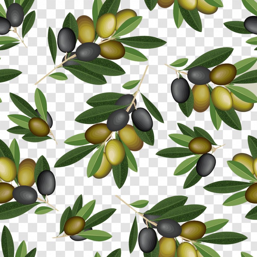 Lebanese Cuisine Olive Oil Branch - Cartoon Background Transparent PNG