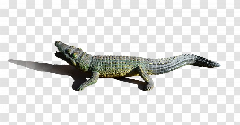 Alligator Crocodiles Clip Art - Fauna - Crocodile Transparent PNG