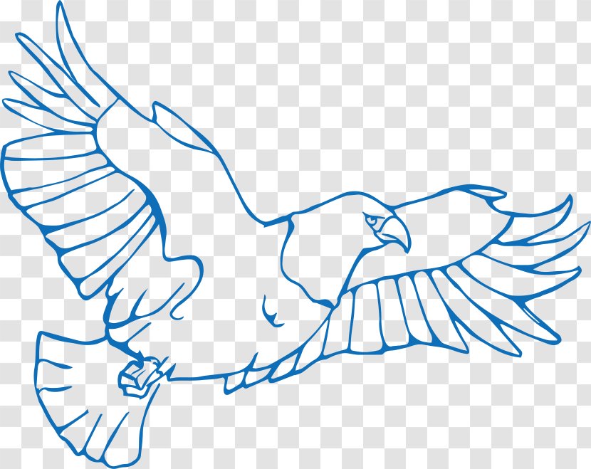 Bird Drawing Illustration - Tree - Hand-painted Flying Eagle Transparent PNG