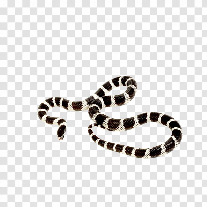 California Kingsnake Ball Python Corn Snake Reptile - Body Jewelry Transparent PNG