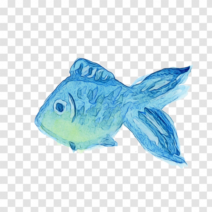 Fish Turquoise Fish Animal Figure Transparent PNG