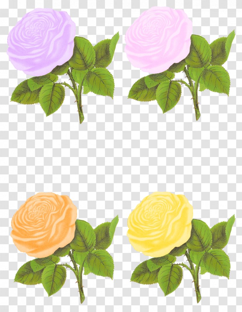Flower Rose Clip Art - Pastel Transparent PNG