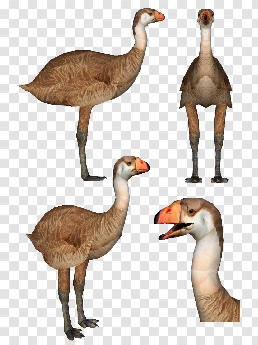 Goose Duck Jurassic Park Builder Rajasaurus Carcharodontosaurus - Fowl Transparent PNG