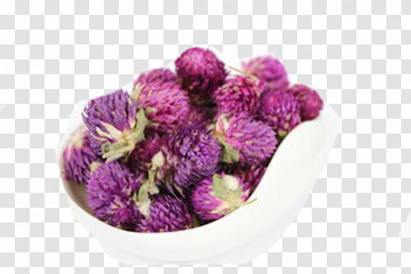 Flowering Tea Globe Amaranth Herbal Purple - Google Images Transparent PNG