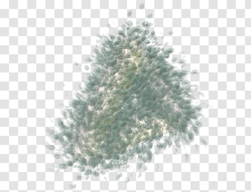 Spruce Christmas Ornament Fir Pine Tree - Entropy Transparent PNG