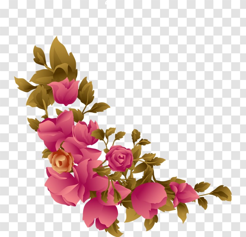 Beach Rose Flower - Information Transparent PNG