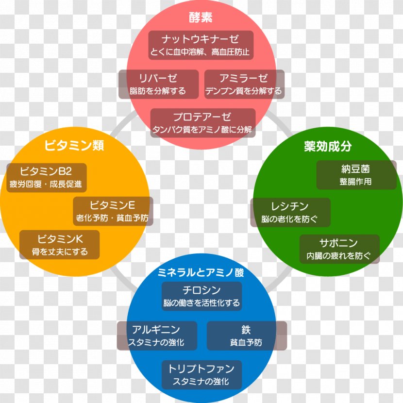 Nattō Food Nutrition Nutrient Pie Chart - Soybean - Efficacy Transparent PNG