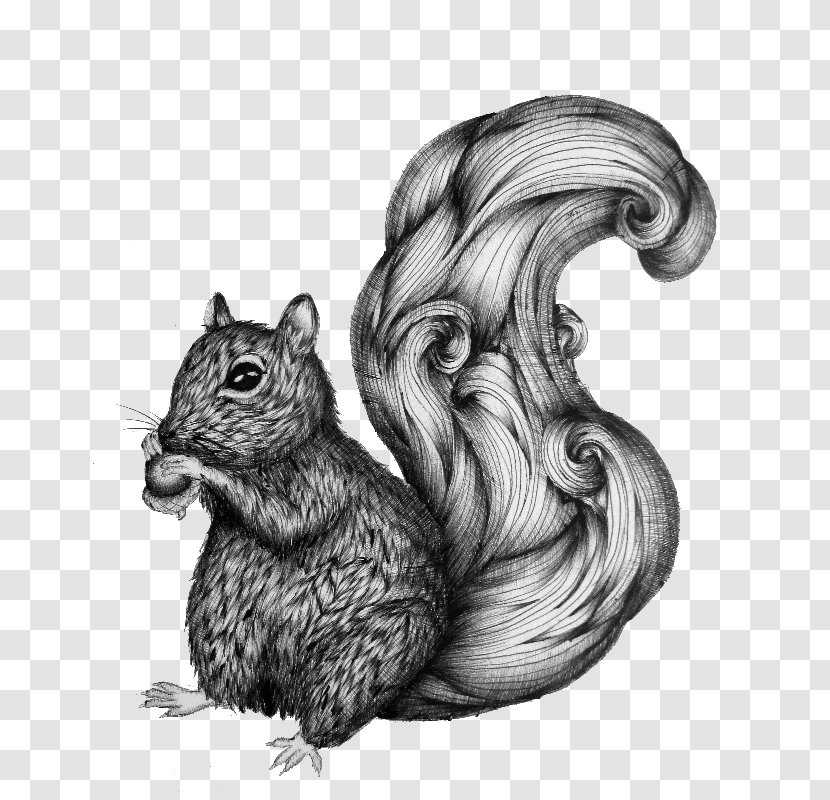 Chipmunk Squirrel /m/02csf IPhone Whiskers - Nature - Lover Gifts Transparent PNG