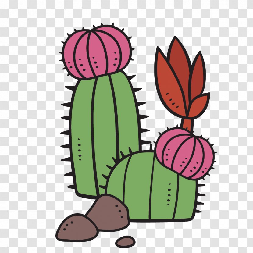 Cactus Succulent Plant Image Clip Art - Watercolor Painting - Cute Transparent PNG