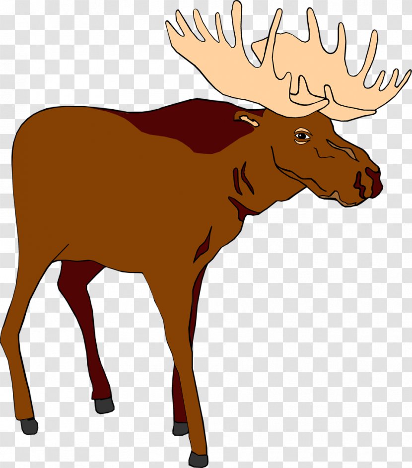 Moose Free Content Stock.xchng Clip Art - Website - Cliparts Cartoon Transparent PNG