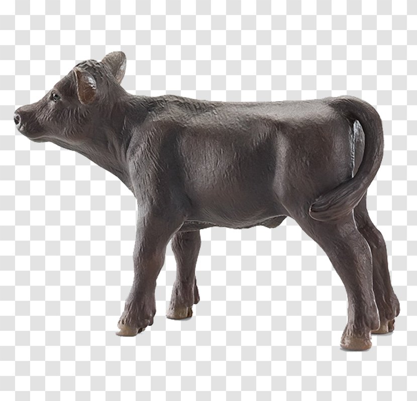 Angus Cattle Welsh Black Aberdeen Calf Schleich - Toy Transparent PNG