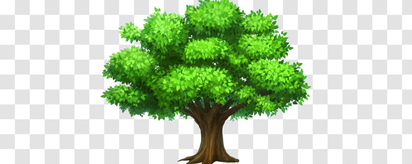 Tree Desktop Wallpaper Clip Art - Flowerpot Transparent PNG