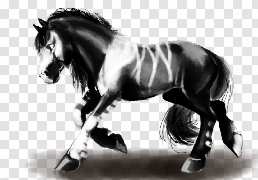 Mane Mustang Stallion Mare Halter - Monochrome Photography Transparent PNG