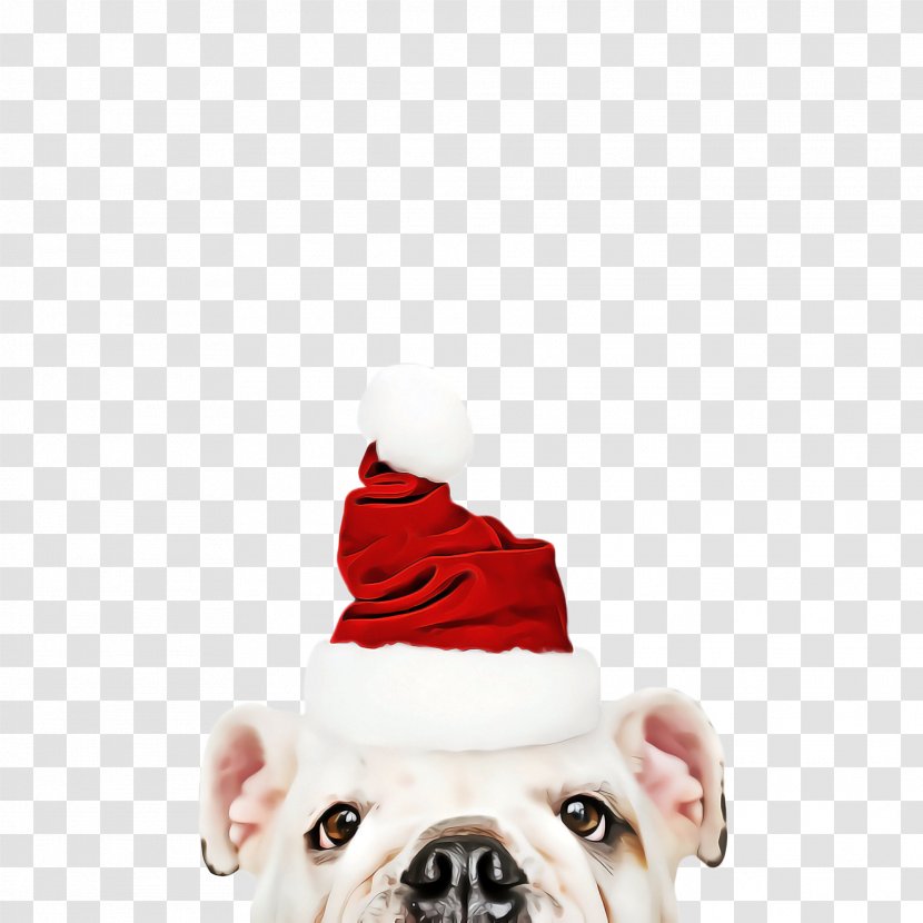 Cute Dog - Toy Bulldog - Pug Pit Bull Transparent PNG
