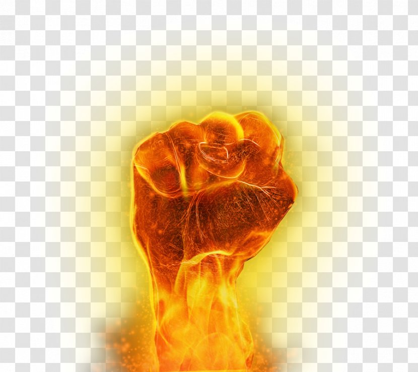 Fist Fire Flame Desktop Wallpaper - Organism Transparent PNG