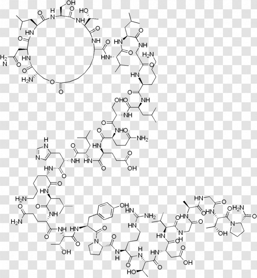 Elcatonin Calcitonin ATC Code H05 Polipeptide Formula Bruta - Cartoon - Fractional Sodium Excretion Transparent PNG