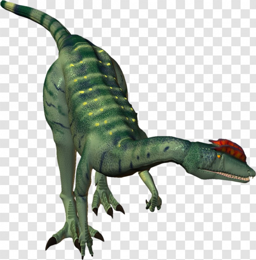 Velociraptor Tyrannosaurus Reptile Bird Dinosaur - Fauna - Dinosaurs Transparent PNG
