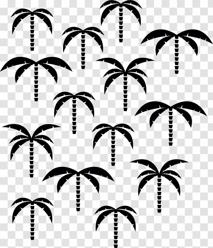 Coconut Black And White Pattern - Monochrome Photography - Tree Transparent PNG