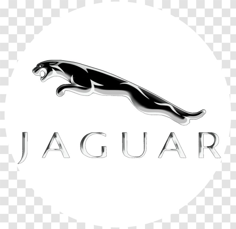 Jaguar Cars Peugeot Pontiac - Text - Car Transparent PNG