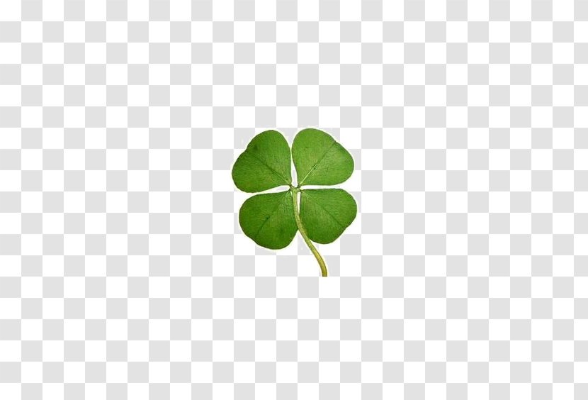 Four-leaf Clover Luck Keychain - Fashion Accessory Transparent PNG