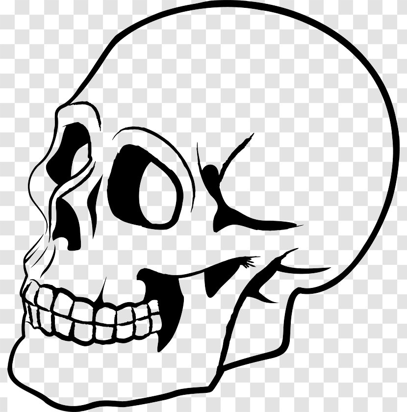 Skull Drawing Clip Art Transparent PNG