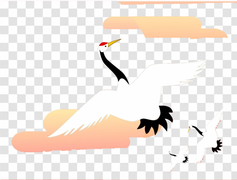 Red-crowned Crane Bird Clip Art - Wing - Cartoon Clouds Creative Transparent PNG