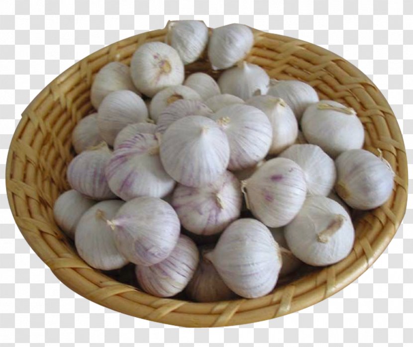 China Snow Mountain Garlic Food Health Eating - Recipe - Vegetable Seasoning Transparent PNG