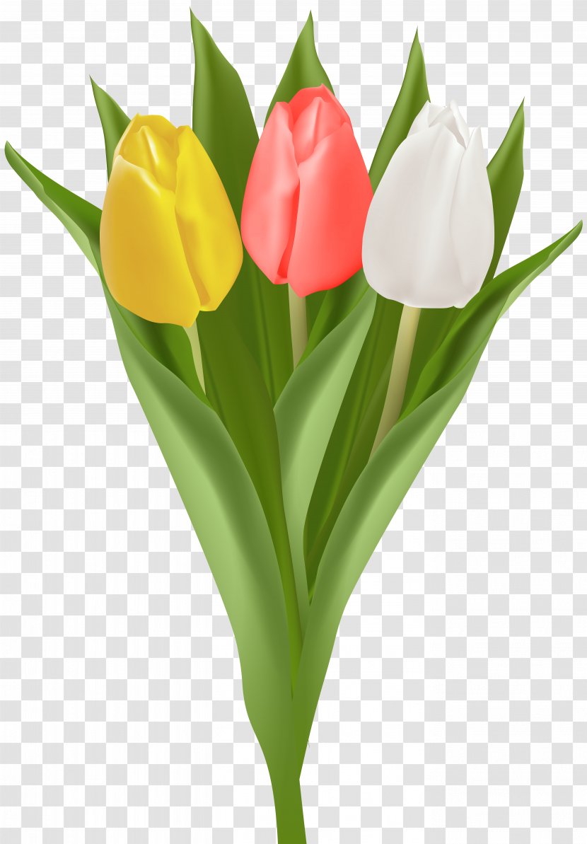 Tulip Flower Bouquet Cut Flowers Petal Clip Art - Yellow Transparent PNG