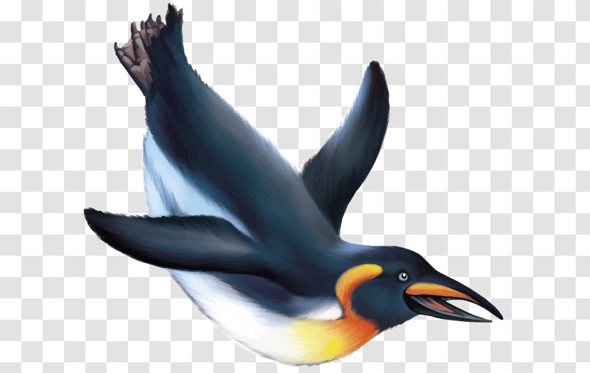 Emperor Penguin Drawing Stock Photography Clip Art - Bird Transparent PNG