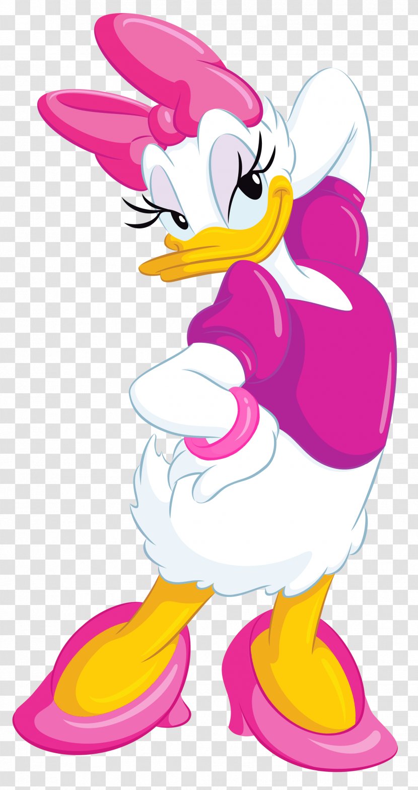 Daisy Duck Donald Minnie Mouse Mickey - Fictional Character - Frangipani Transparent PNG