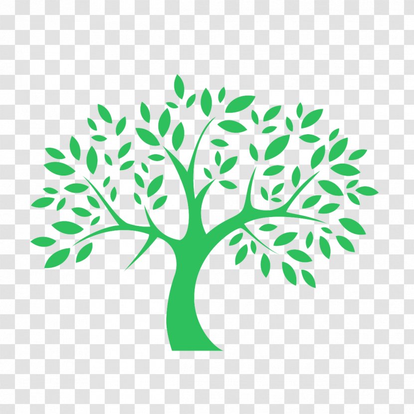 Logo Tree Graphic Design Graphics Brisbane Montessori School - Forest Transparent PNG