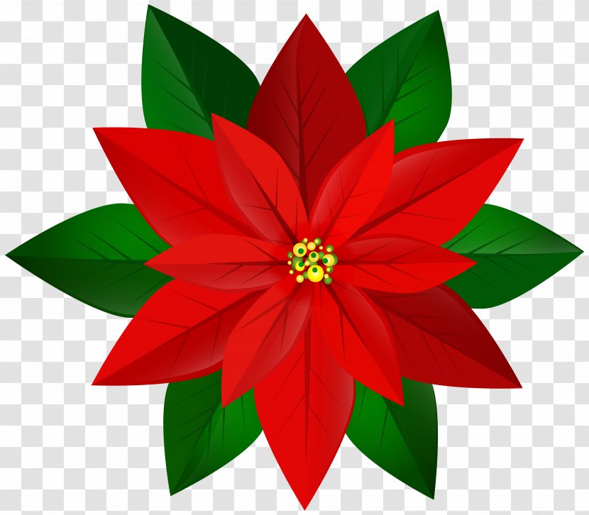 Poinsettia Clip Art - Christmas - Red Image Transparent PNG