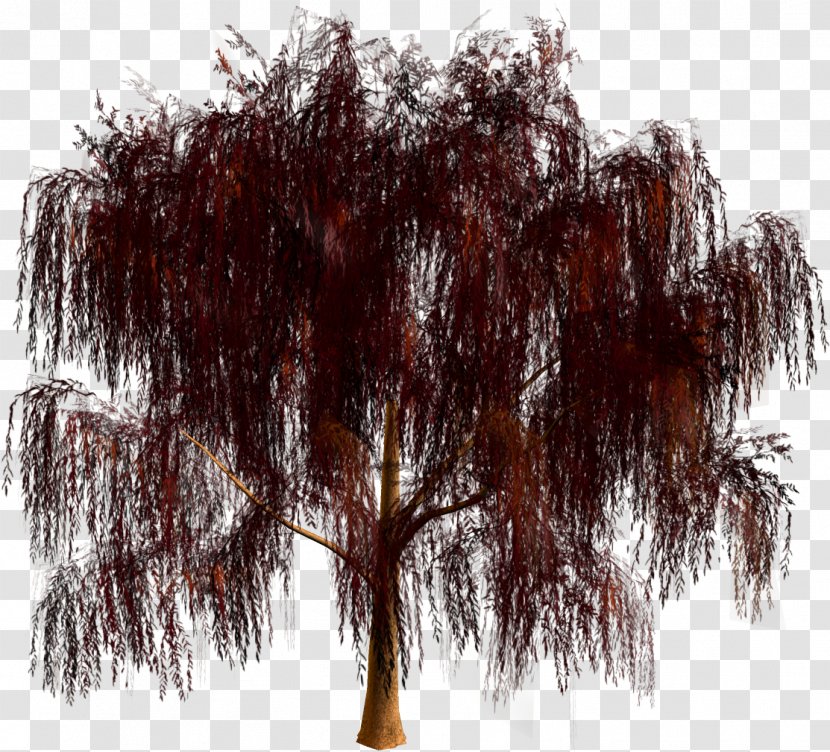 Tree Forest Clip Art - Park Transparent PNG