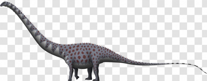 Supersaurus Apatosaurus Barosaurus Dinheirosaurus Dinosaur - Dry Mesa Quarry - Jurassic Animals Transparent PNG