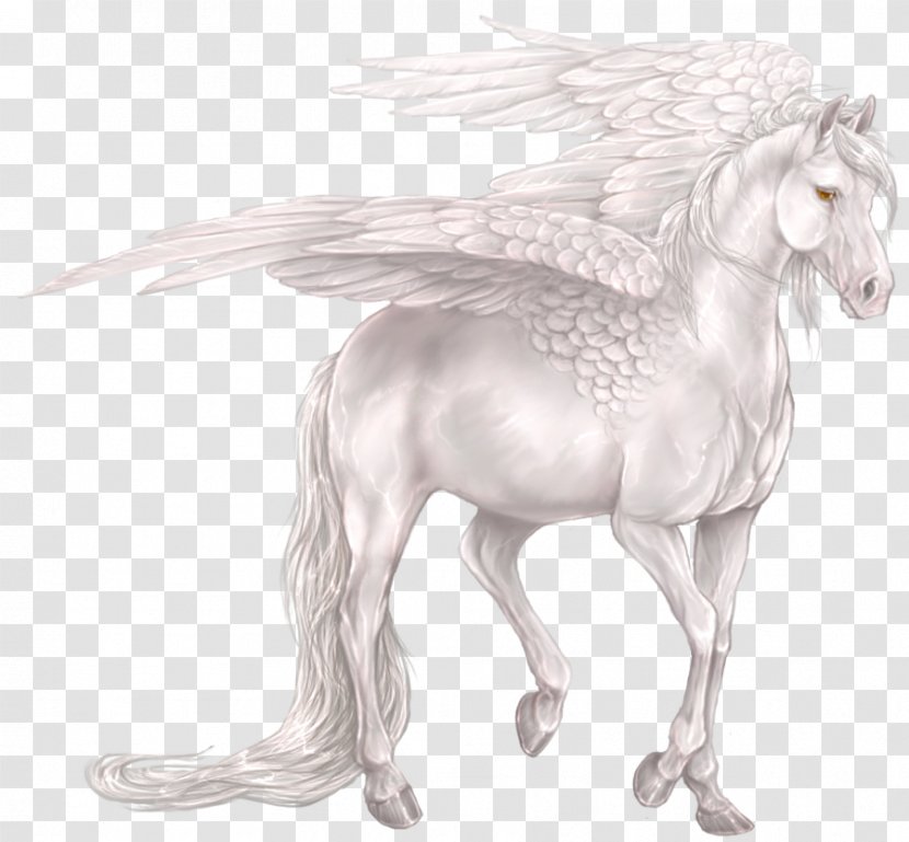 Pegasus Unicorn Horse Centaur Legendary Creature - Pony - White Transparent PNG