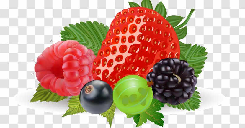 Blueberry Free Content Clip Art - Vector Strawberry Realistic Fruit Transparent PNG