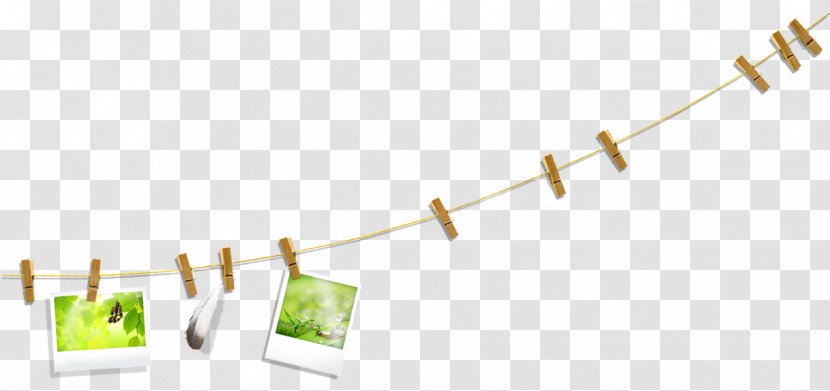 Rope Computer File - Clothes Line - Clip Feathers And Photos Transparent PNG
