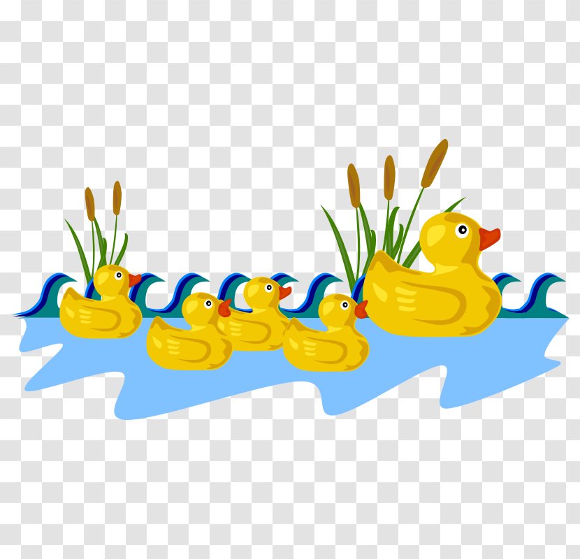 Duck Clip Art Vector Graphics Mallard Free Content - Yellow - Bird Transparent PNG